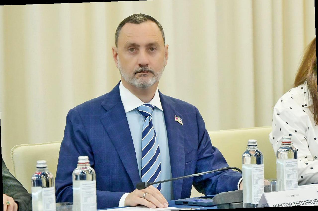 Виктор Тепляков участвовал в заседании рабочей группы СМИ форума «Петербургский диалог»