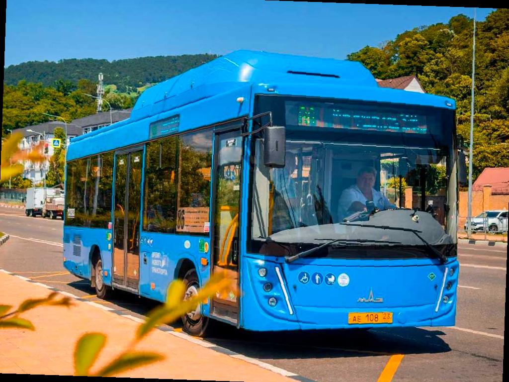 В Сочи изменится маршрут автобуса №86, который сократят до Автовокзала с 1 июля. Это означает, что некоторые остановки больше не будут обслуживаться этим автобусом. Полный список исключенных остановок был опубликован заранее.