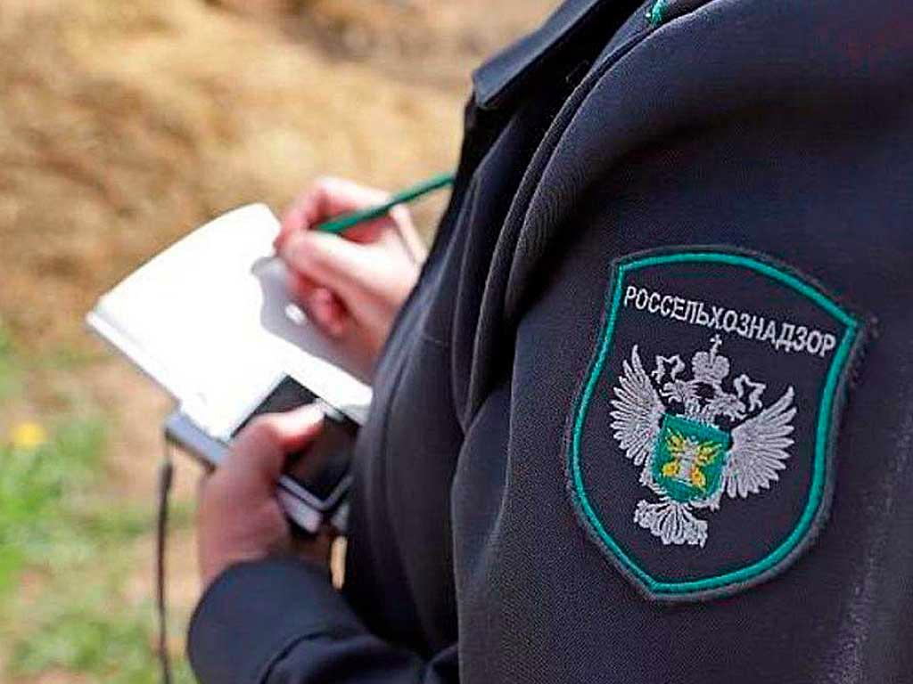 В Адыгее обнаружены 7 зон с опасным сорняком