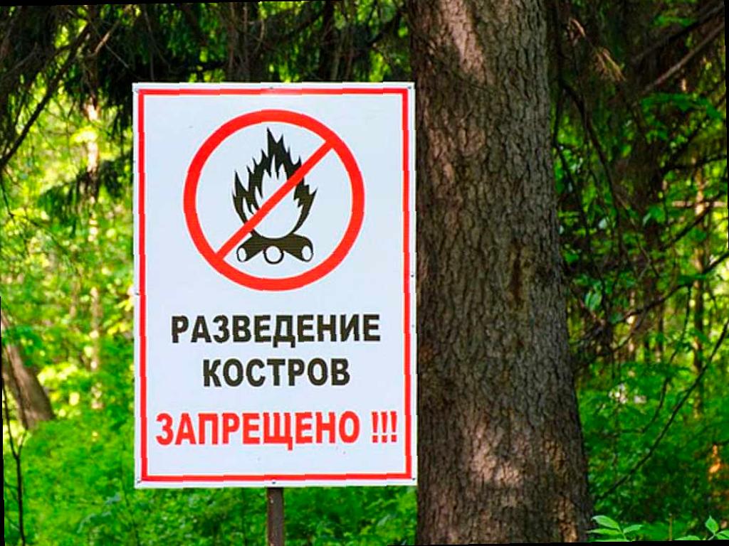 В Сочи объявлена пожароопасность 4 класса