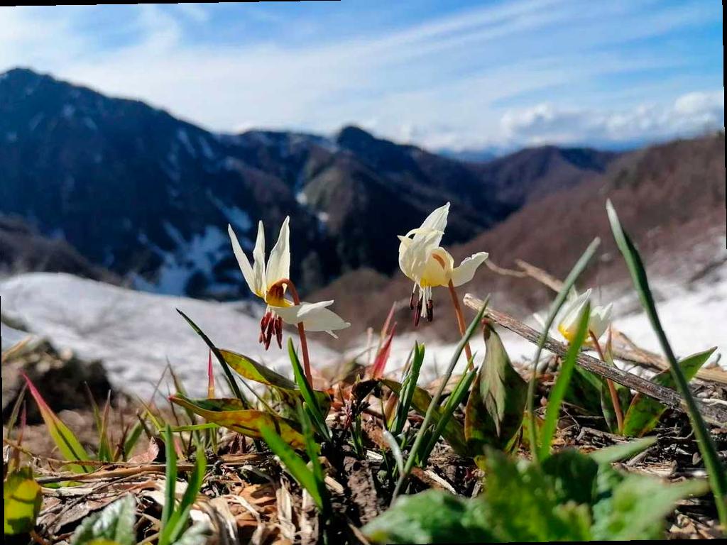 Фотовыставка победителей конкурса «Четыре сезона красоты»