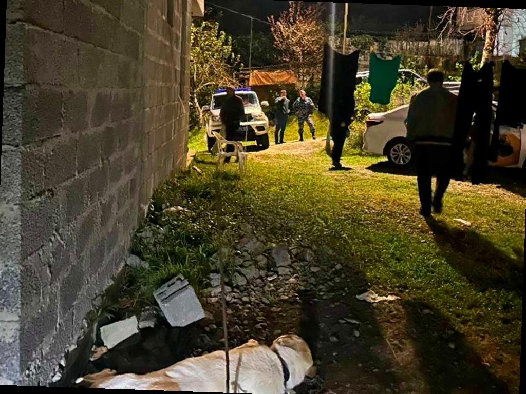 Алабай в Сочи атаковал двоих детей