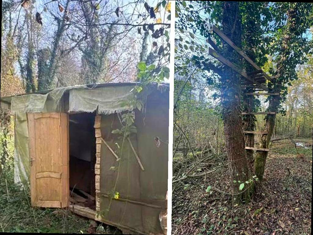В Сочинском нацпарке обнаружено браконьерское укрытие