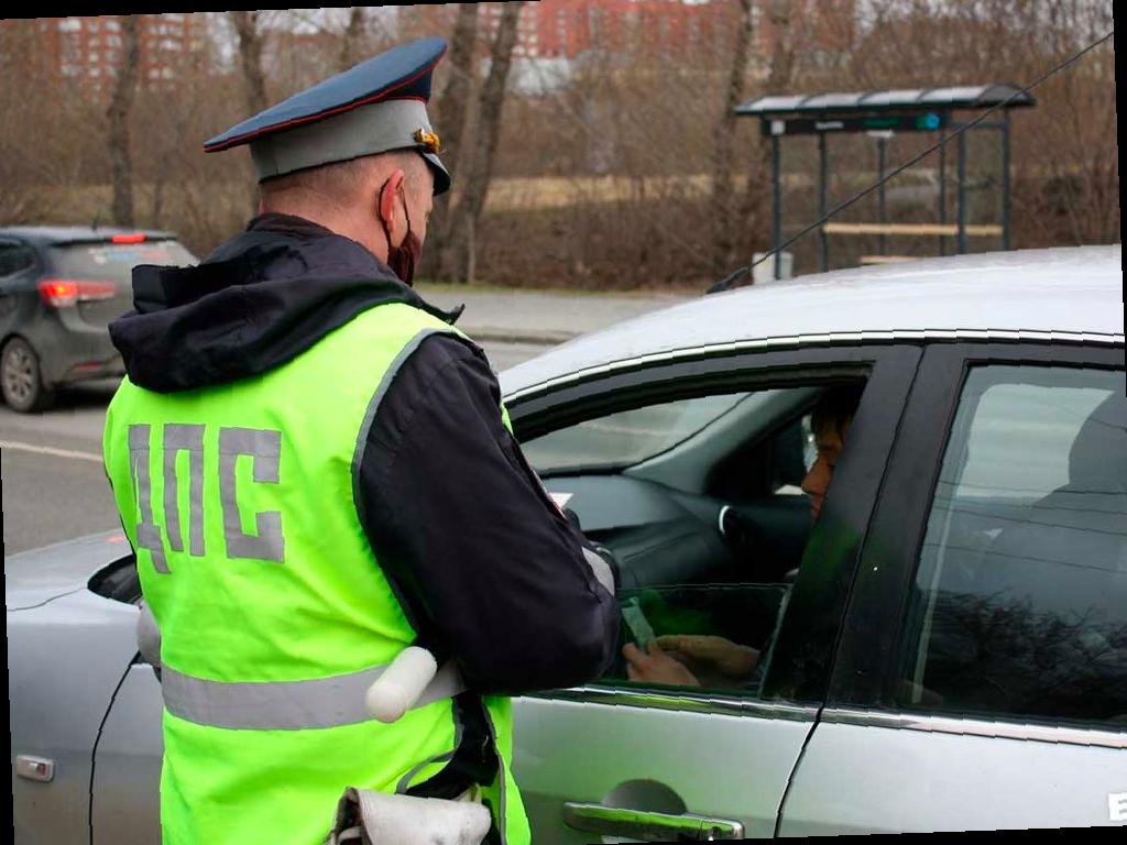 В России ужесточат наказание за нарушения при перевозке детей и изменят требования к тонировке автомобилей