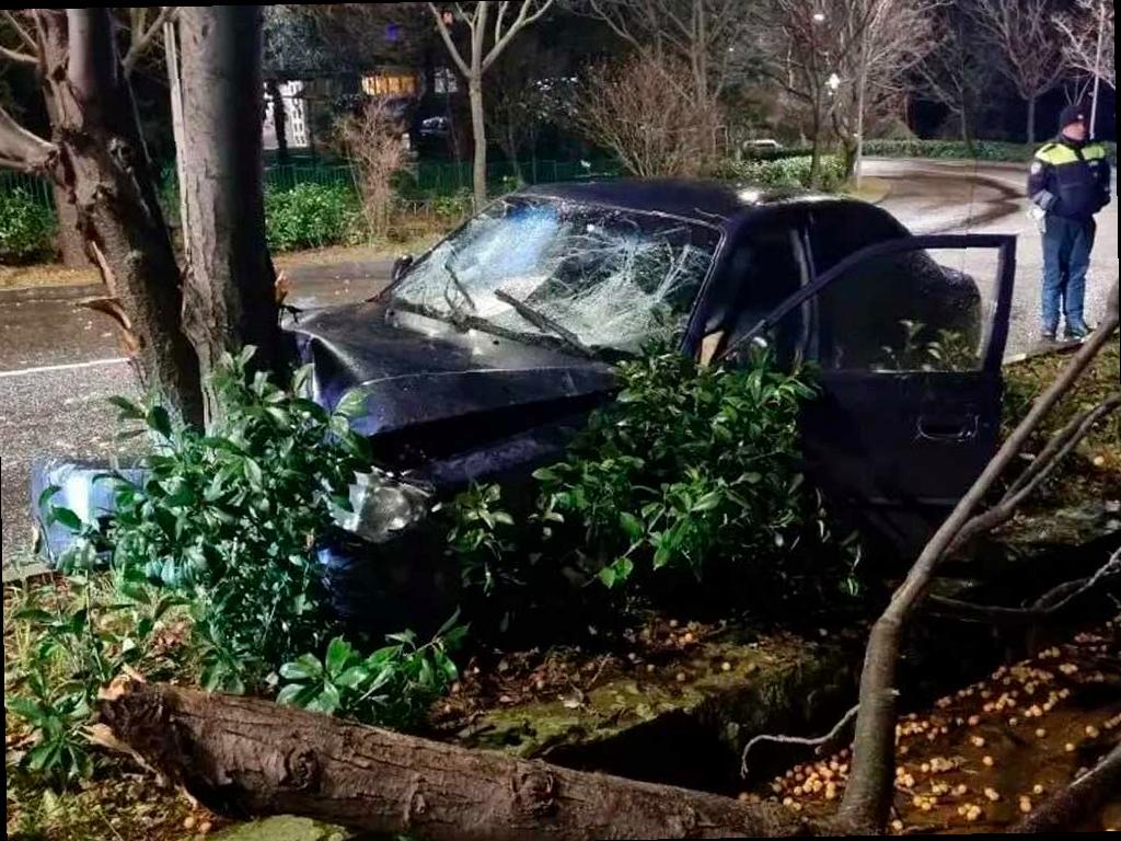 Подросток в Сочи попал в аварию, столкнувшись с деревом