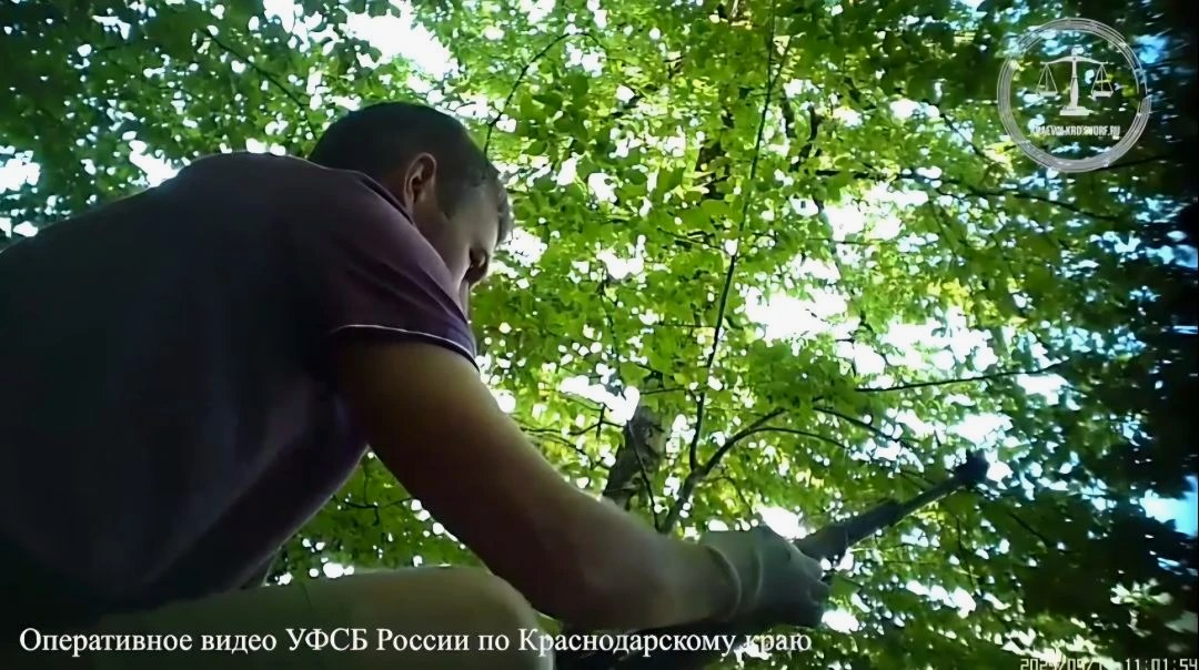 Приговор по делу о незаконном хранении и сбыте оружия в Сочи