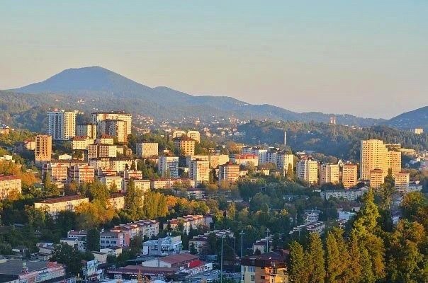 Контроль за торговлей и парковкой в Сочи принес более 23,5 миллионов рублей