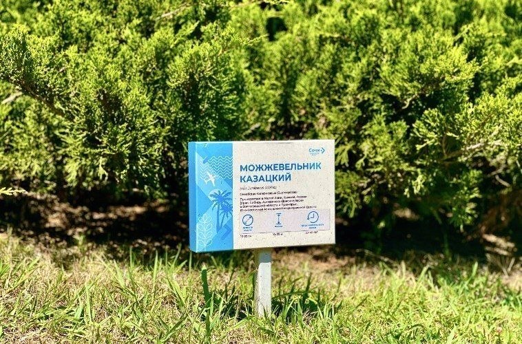 Уникальный тропический сад открыт в аэропорту Сочи