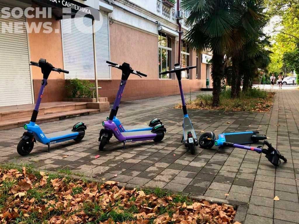 Запрет на самокаты в Сочи может зависеть от мнения жителей