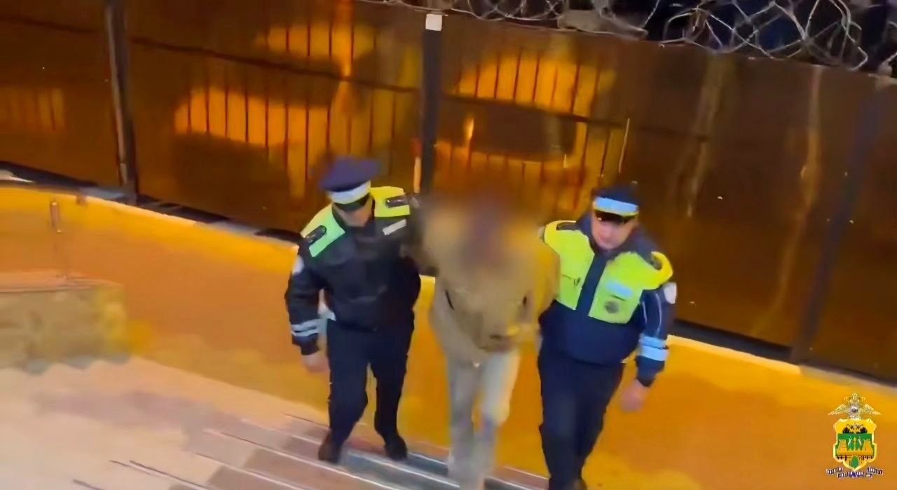 Задержание угонщика иномарки в Адлере с применением огнестрельного оружия